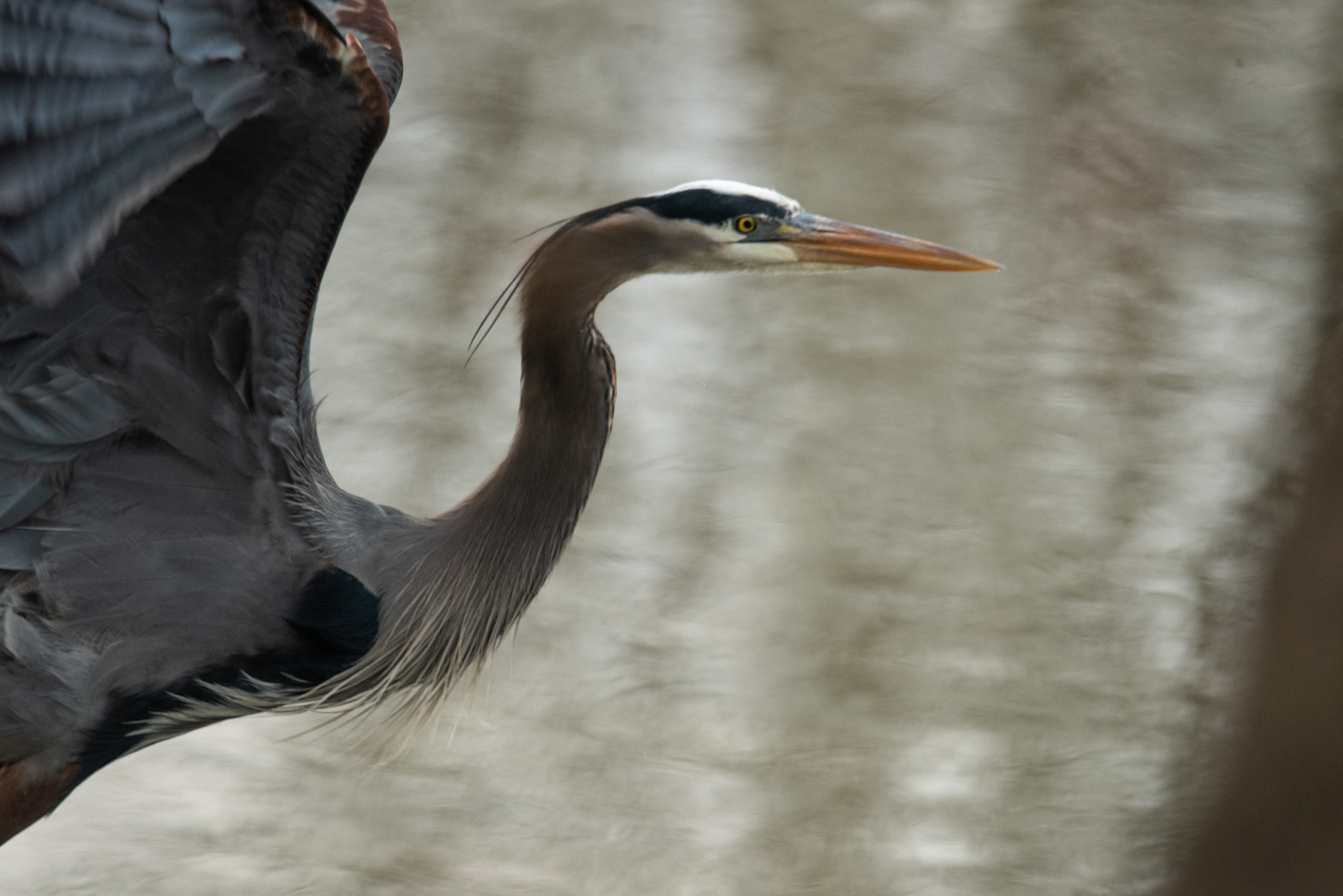 Morning light over a Door County nature preserve