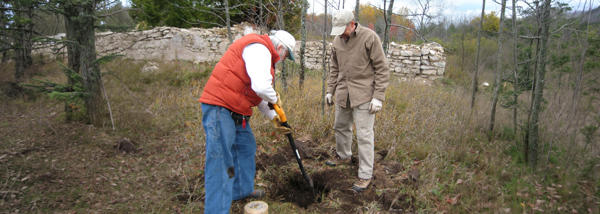 Two volunteers dig and plant during a fall stewardship workday at a Door County Land Trust preserve with historic stone ruins in the background