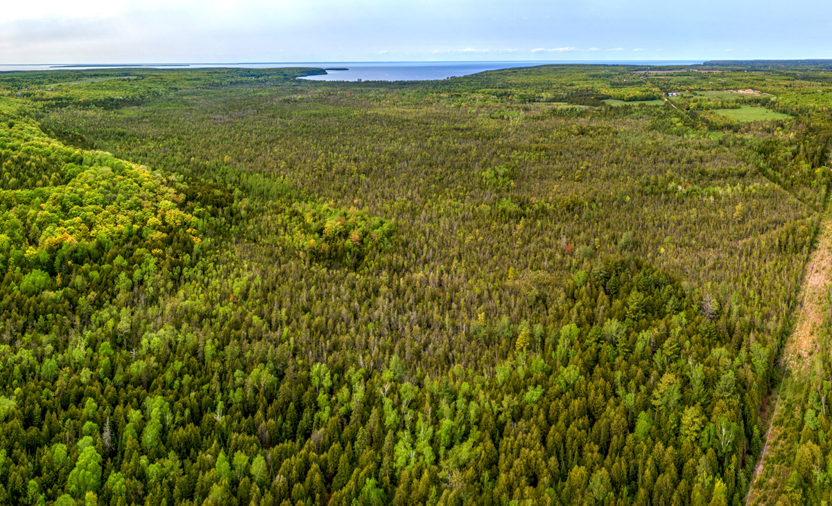 Wooded shoreline along Green Bay in Door County