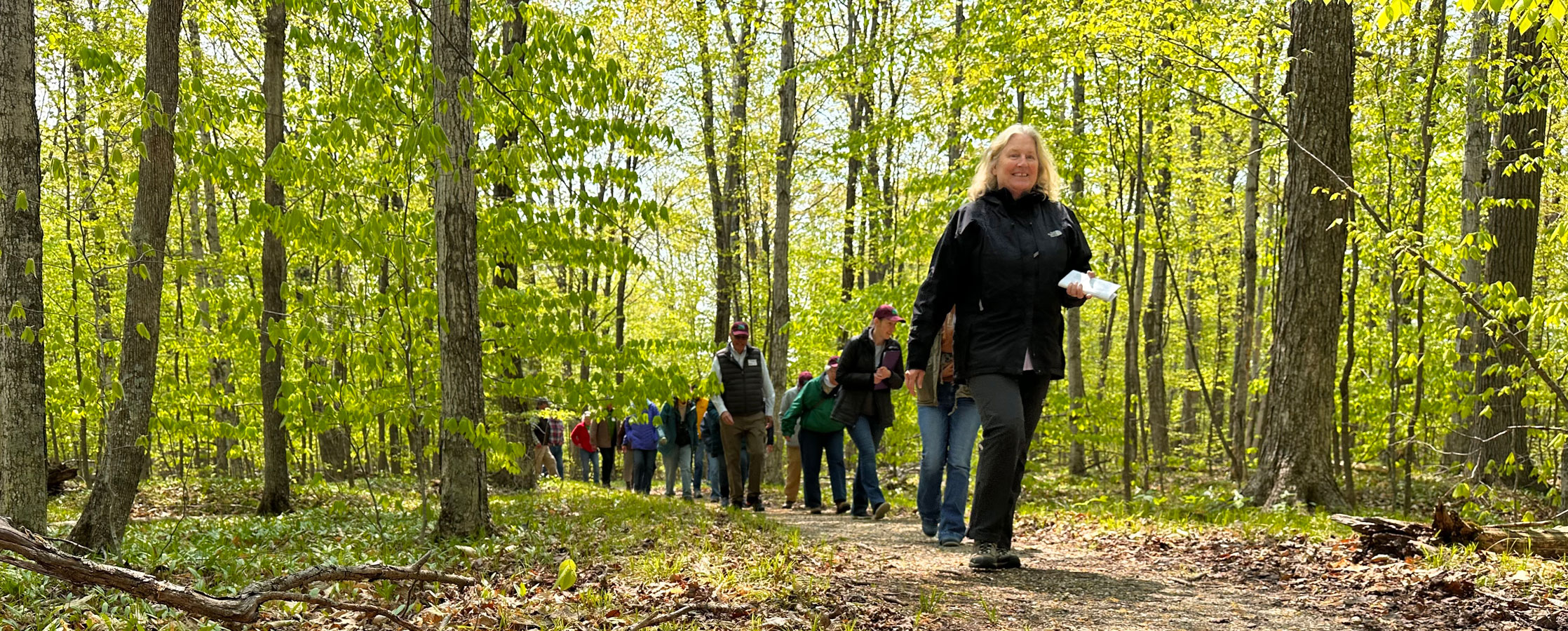 A group of community members walks along a sunlit forest trail during a guided nature hike at a Door County Land Trust preserve