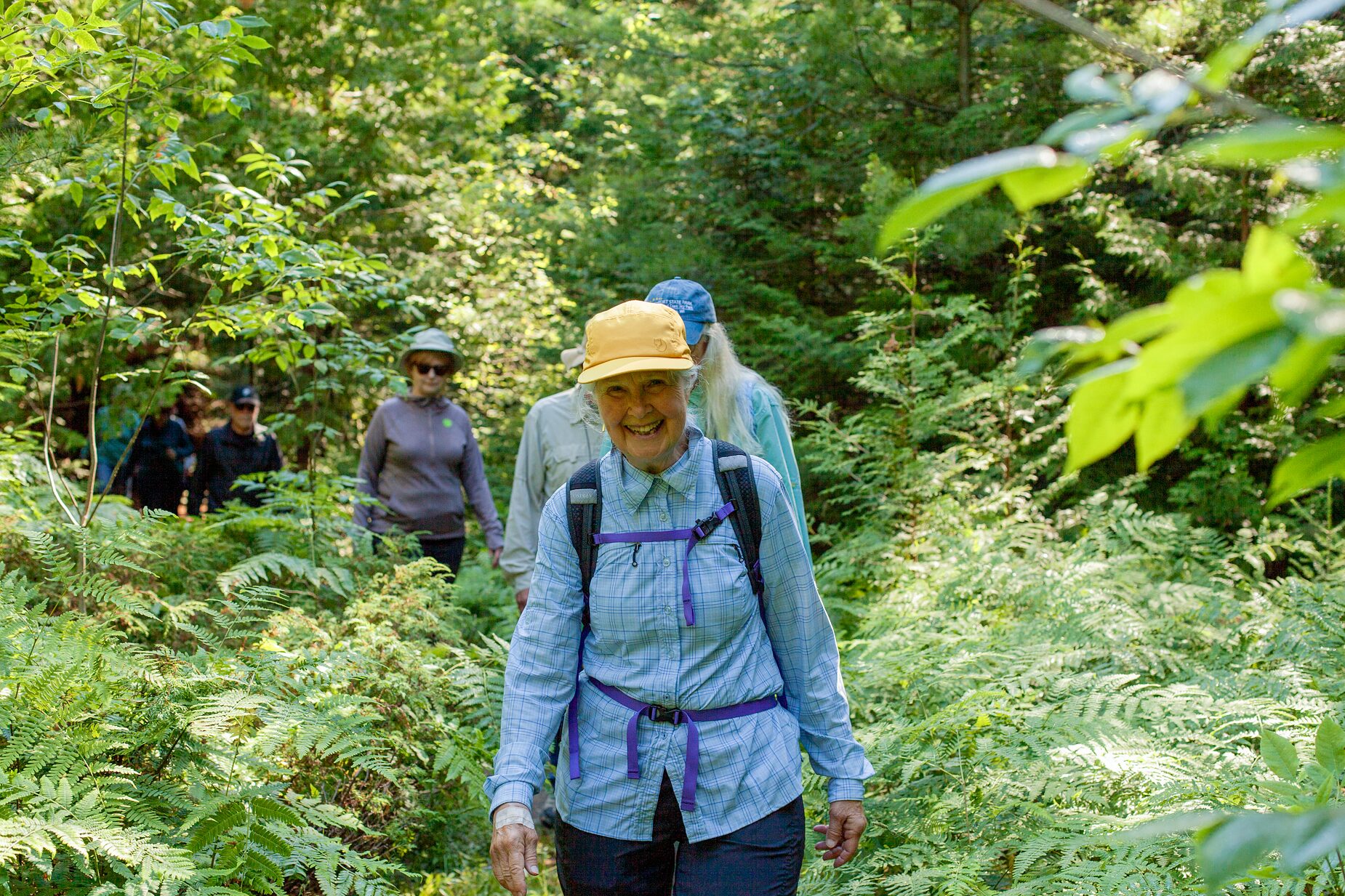 Two hikers walking a fern-lined trail through the woods at Three Springs