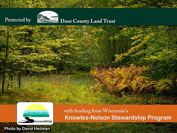 Campaign graphic: a grassy trail through green forest with golden ferns. Photo by David Heilman