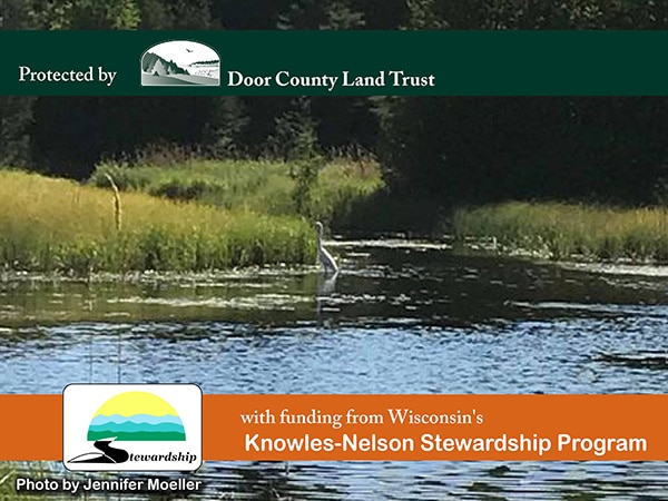 Campaign graphic: a great blue heron wading in a marsh-lined stream. Photo by Jennifer Moeller