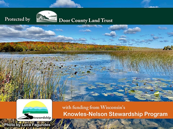 Campaign graphic: lily pads on clear blue water ringed by fall color. Photo by Luca Fagundes