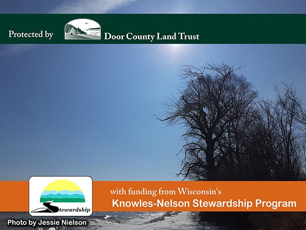 Campaign graphic: winter sun over a bare tree and icy shoreline. Photo by Jessie Nielson