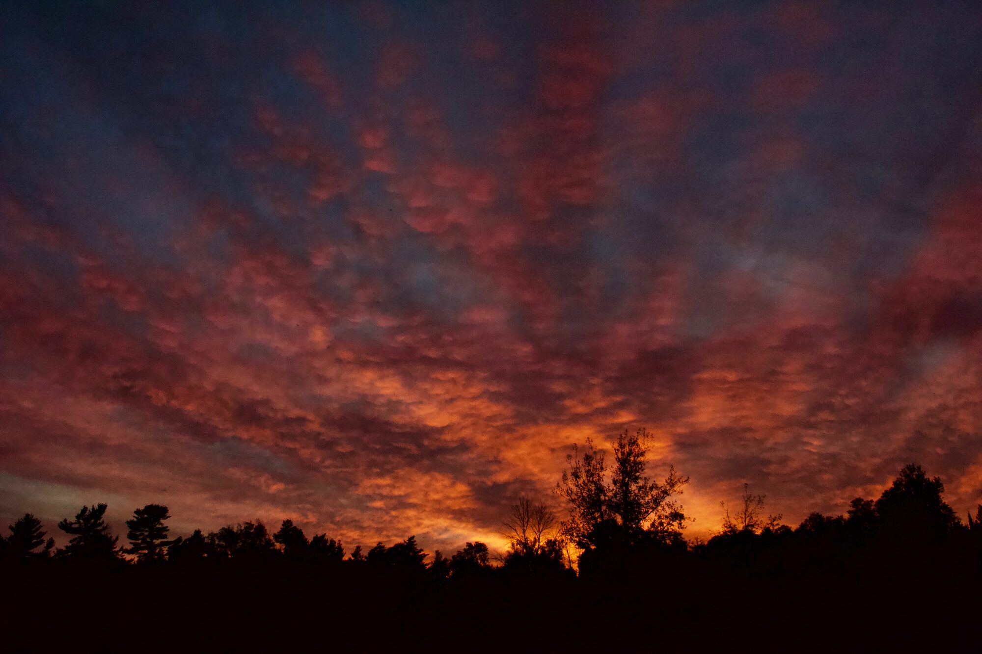 A fiery red and orange sunset glowing above a dark tree line
