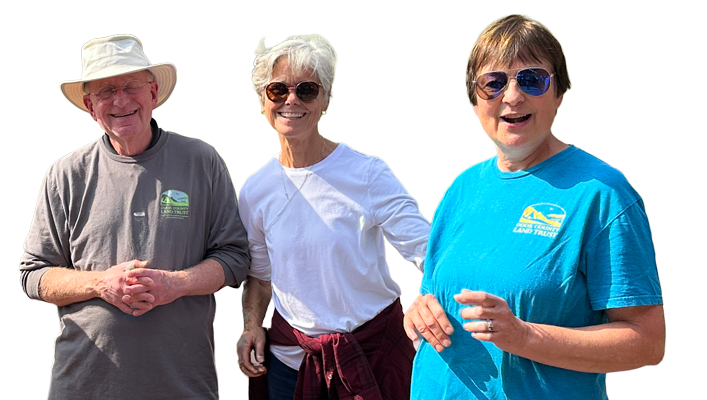 DCLT community members