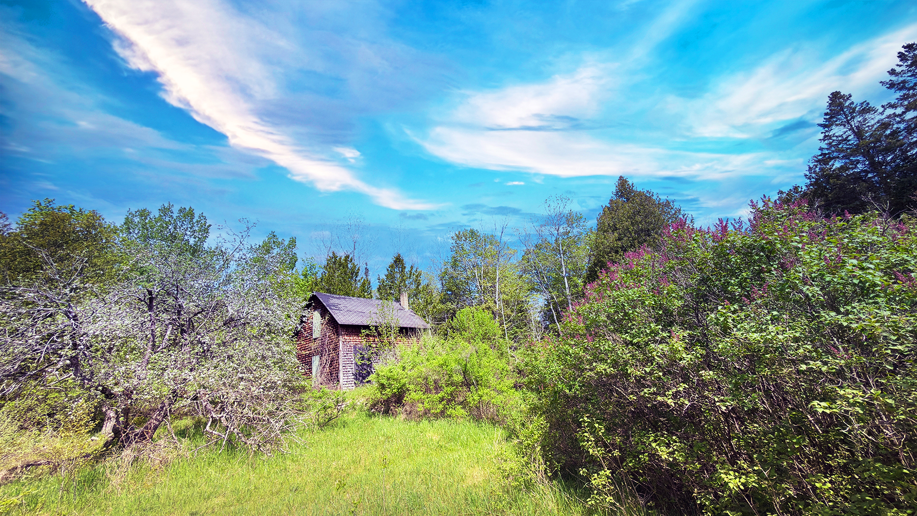 A weathered cabin tucked into a green hillside under a blue sky