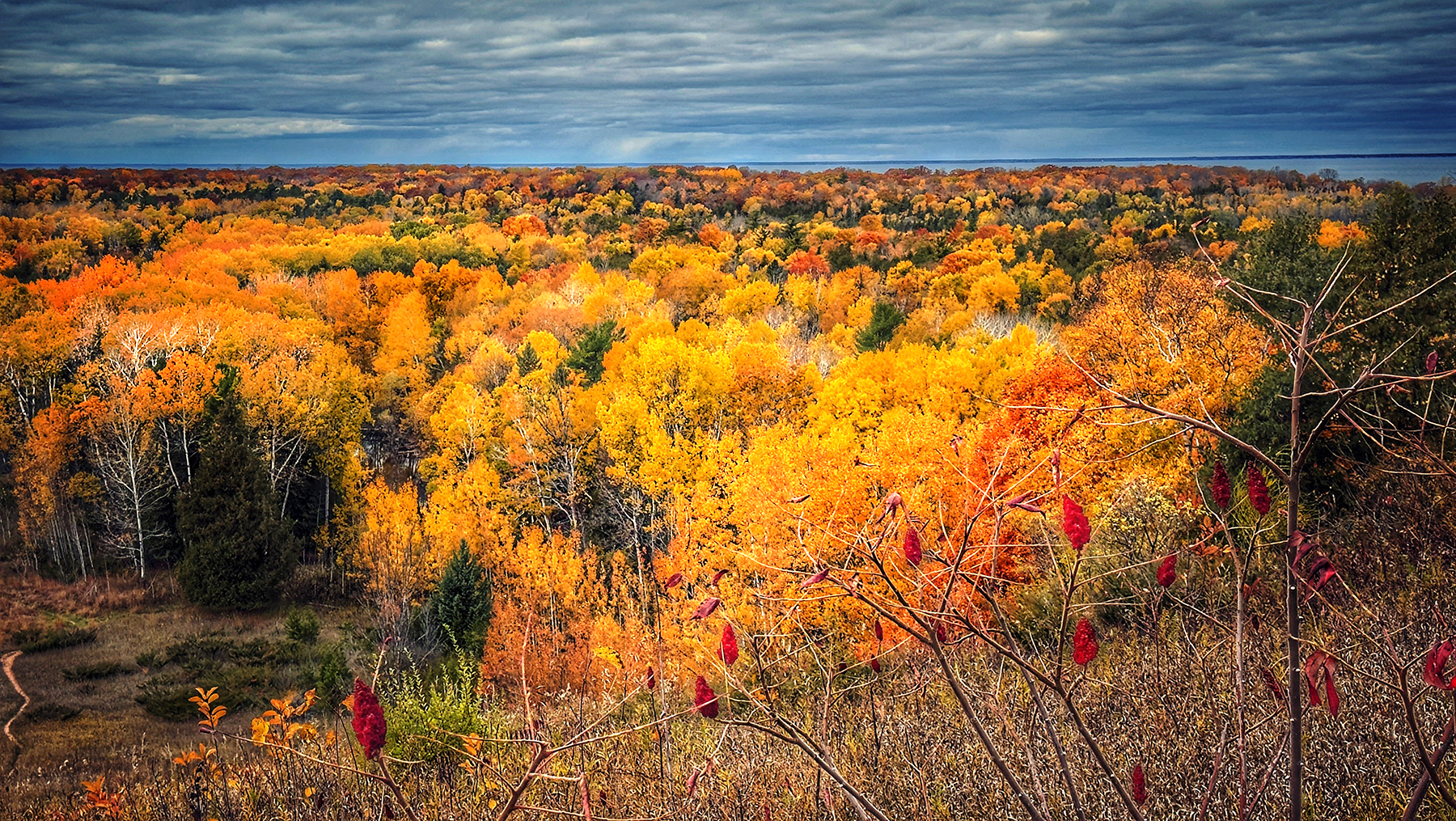 Panoramic view of fall foliage glowing across a wooded ridge