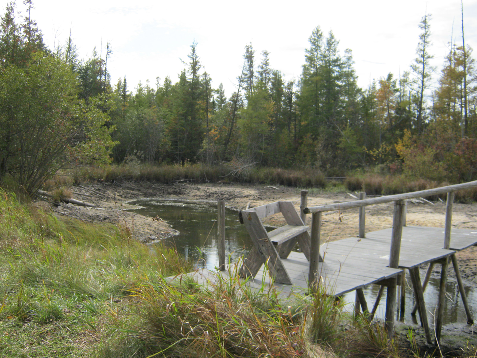 Discover a Wetland Gem Protected by Conservation Easement