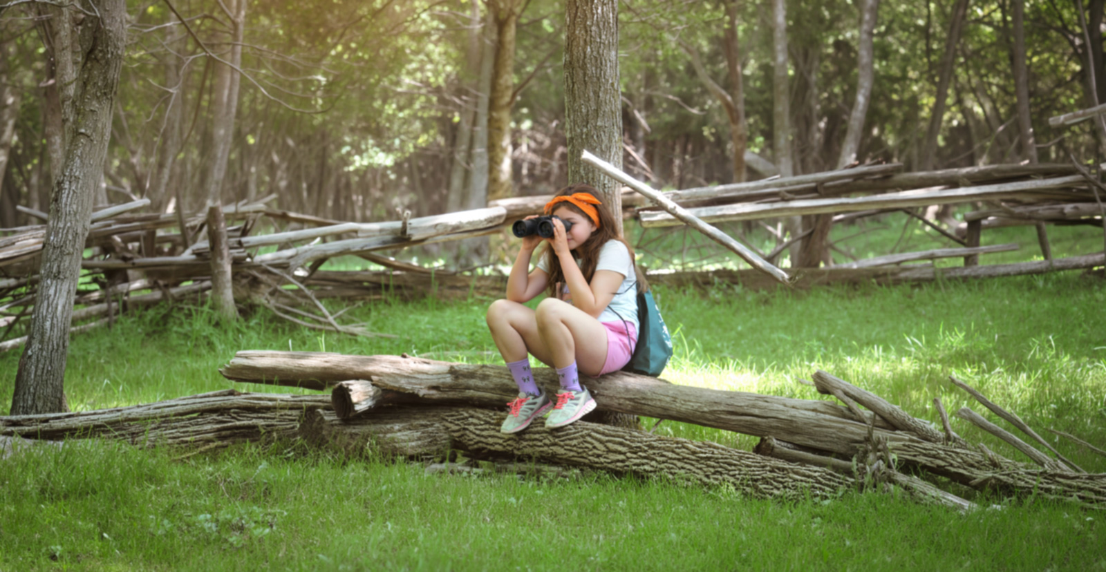 Backyard Bird Detectives - Family Nature Adventure at Camp Cuesta