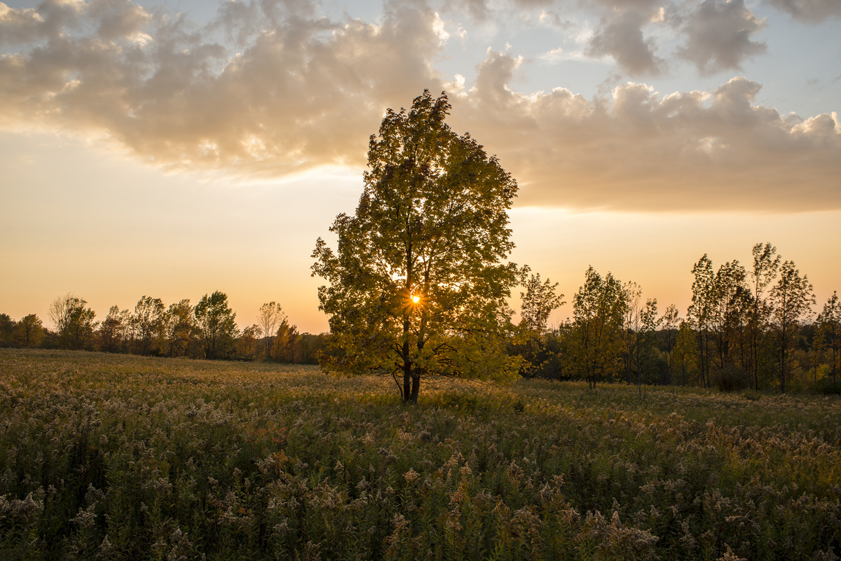 Sunset Stroll at Bay Shore Blufflands