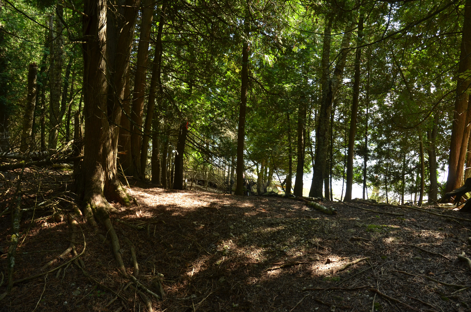 Discover Boo's Bluff Natural Area