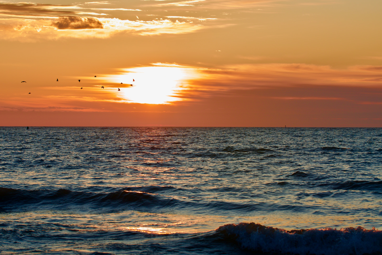 Rise with the Land Trust