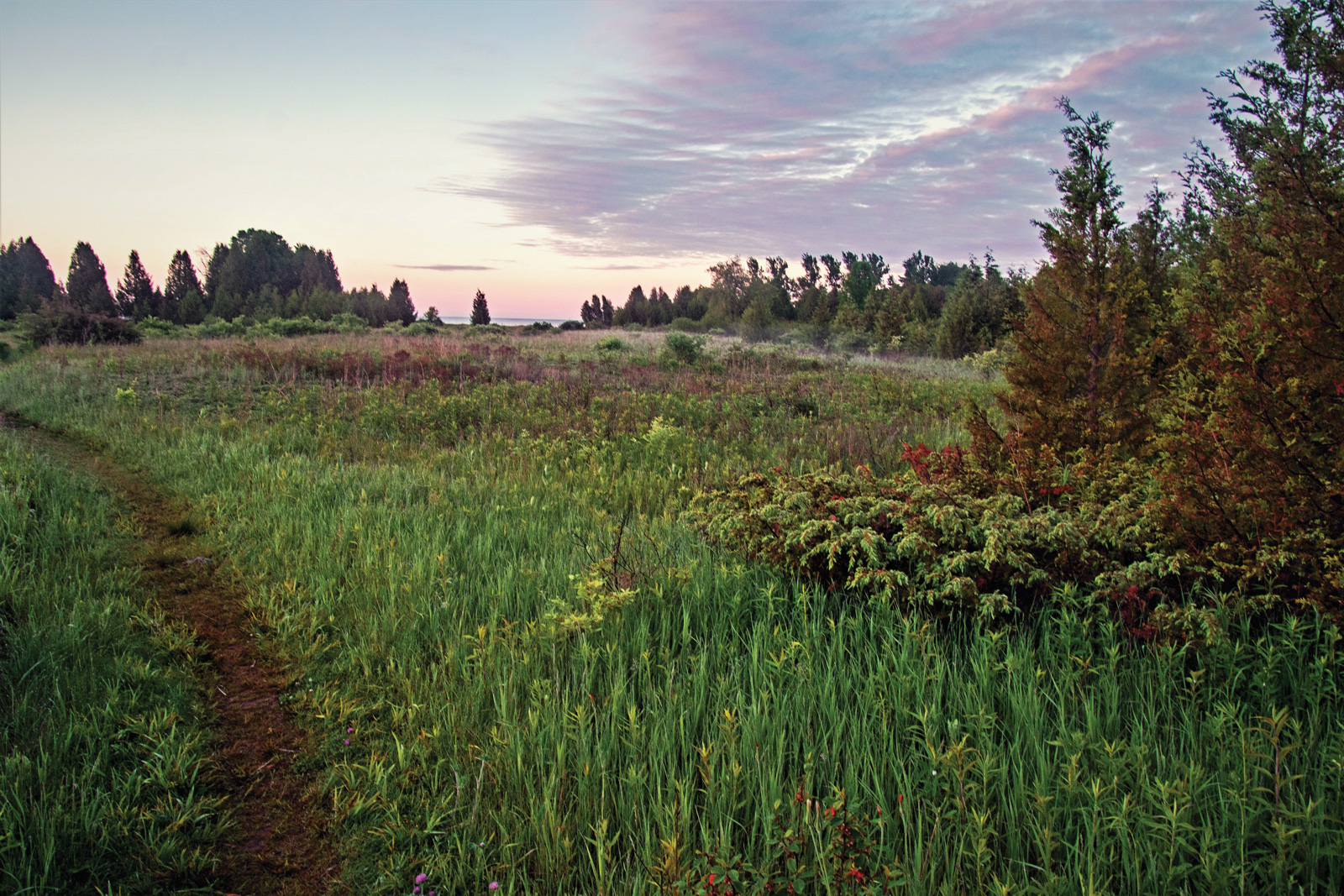 Hiking into History: Discovering the "Ghost Port" of Clay Banks