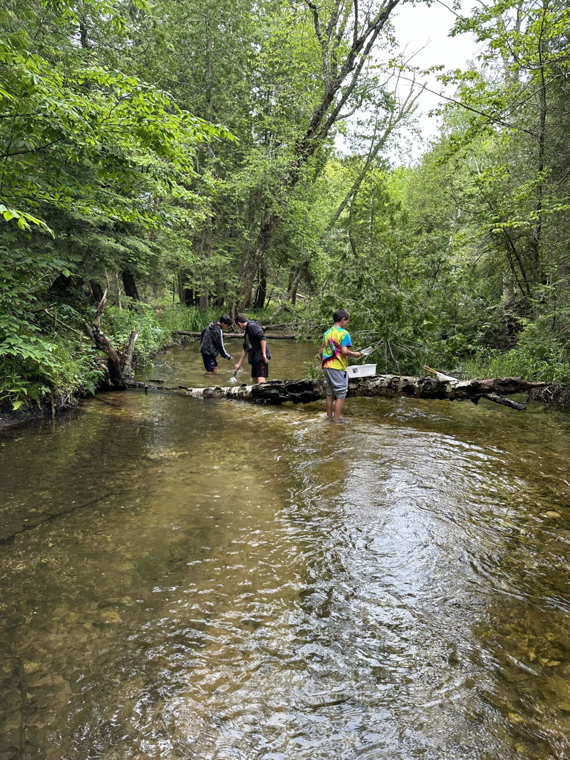 Creek Explorers: A Hands-On Family Nature Program