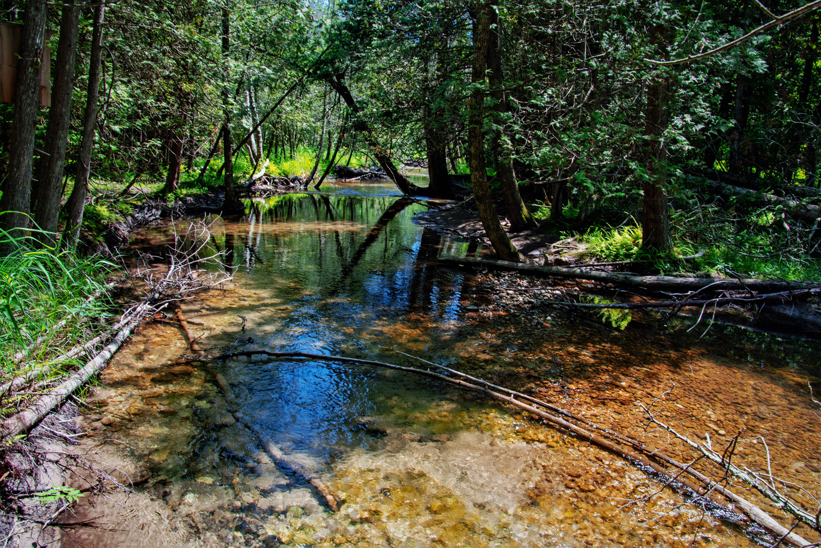 Creek Explorers: A Hands-On Family Nature Program