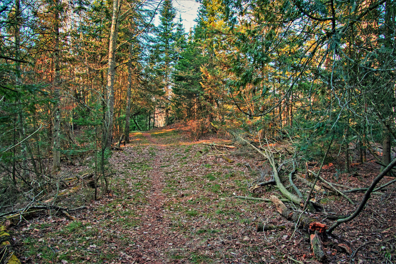 The Natural and Human History of the Sturgeon Bay Ship Canal Nature Preserve