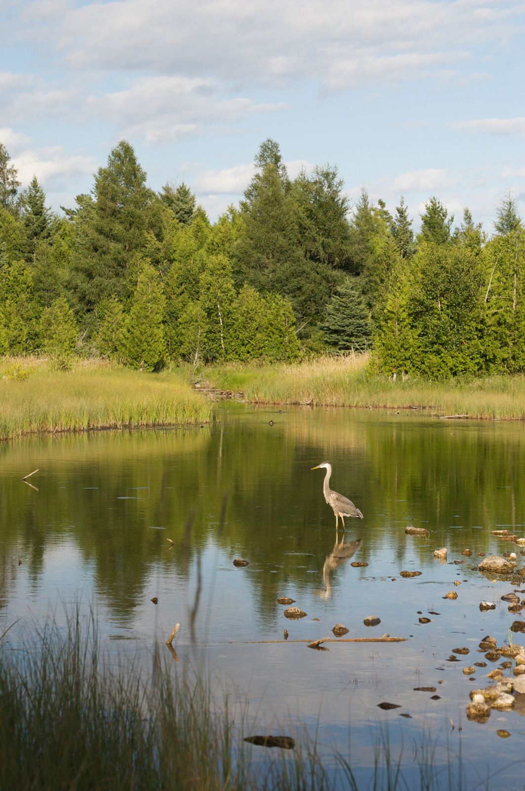 Three Springs Through the Ages: A Guided Historical Walk