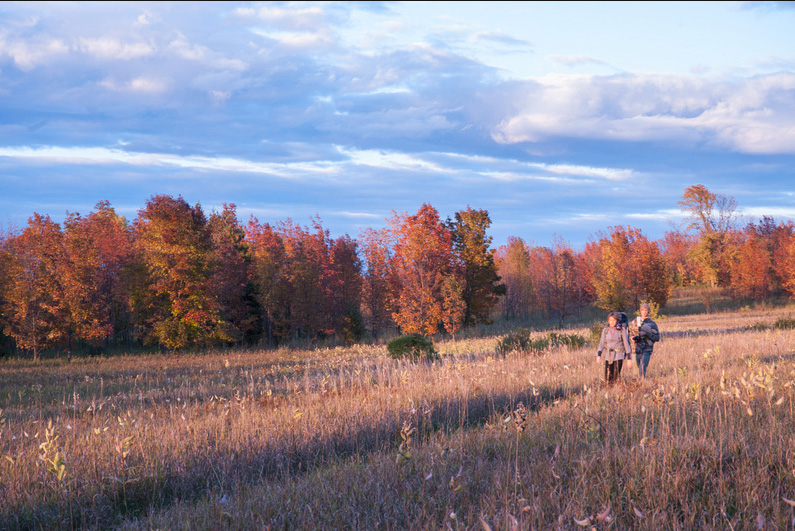 Two hikers walking through tall prairie grass with fall foliage beyond