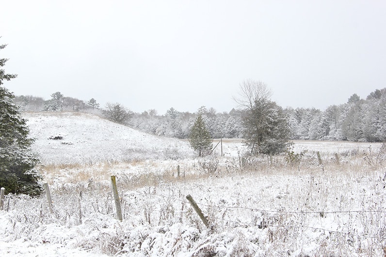 Fresh snow blankets a rolling meadow and cedar-dotted ridgeline, with a weathered wire fence tracing the foreground through frosted grasses.