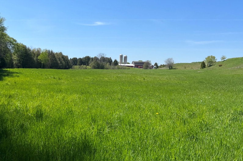 Bear Creek Nature Preserve