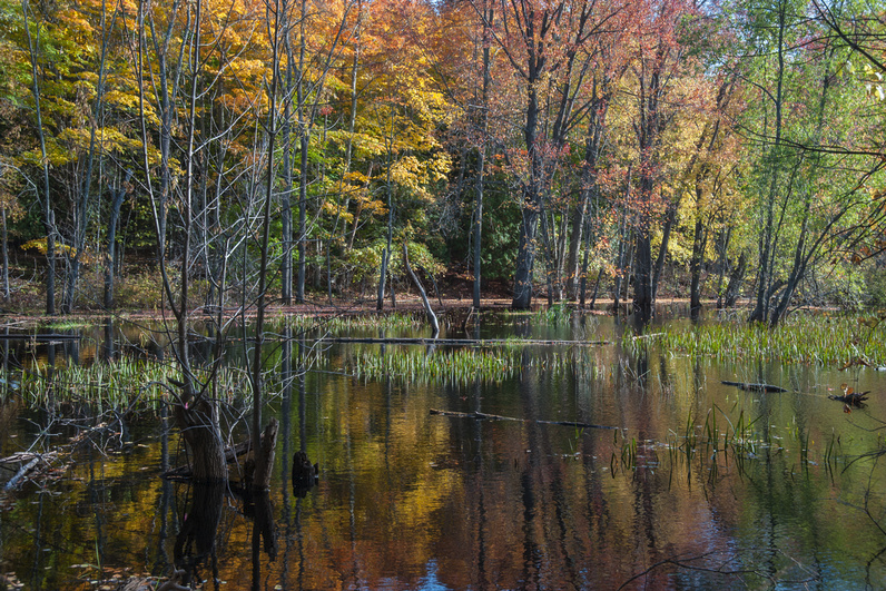 Ephraim Nature Preserve at Anderson Pond