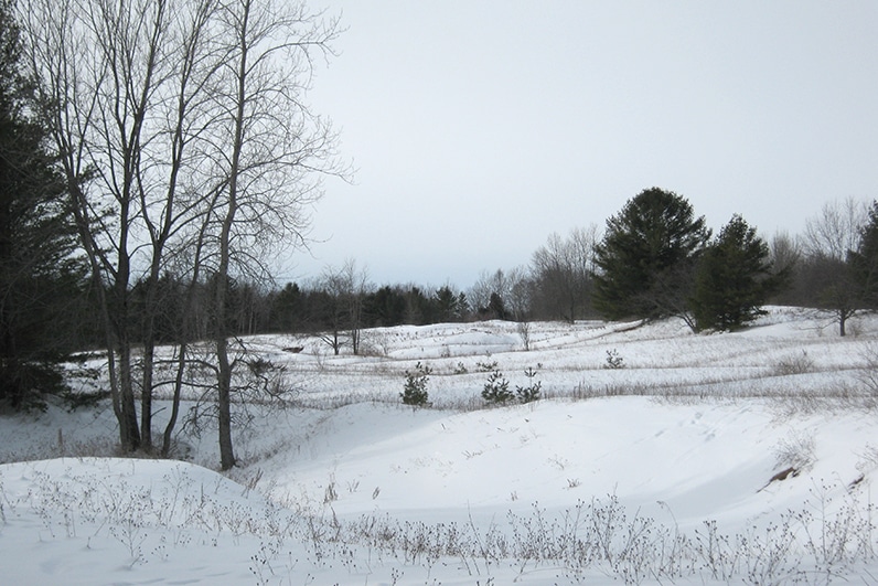 Open sand dunes blanketed in snow under overcast sky