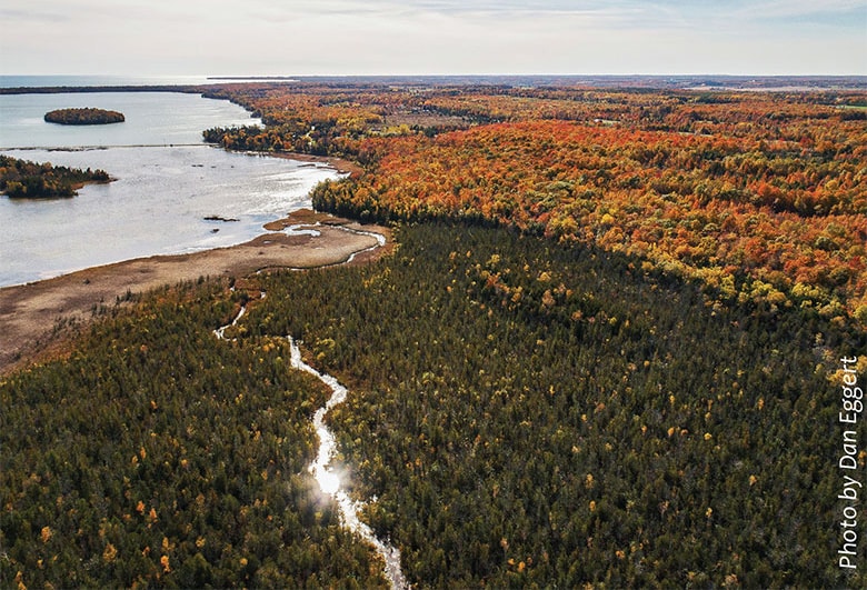 An aerial autumn view of Peil Creek winding through dense evergreen and fiery maple forest toward the bay, with a curving sandy shoreline beyond.
