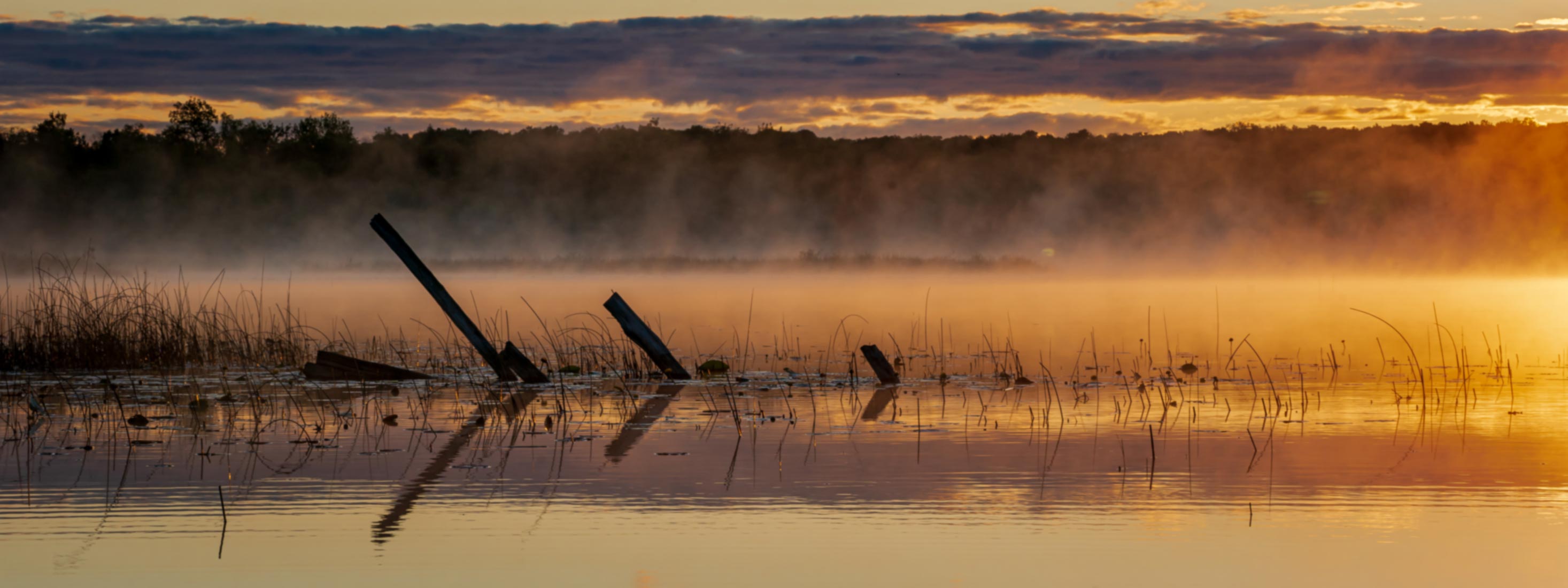 Morning mist drifts across still water at sunrise, weathered wooden posts leaning above the surface as soft orange light washes the distant treeline.