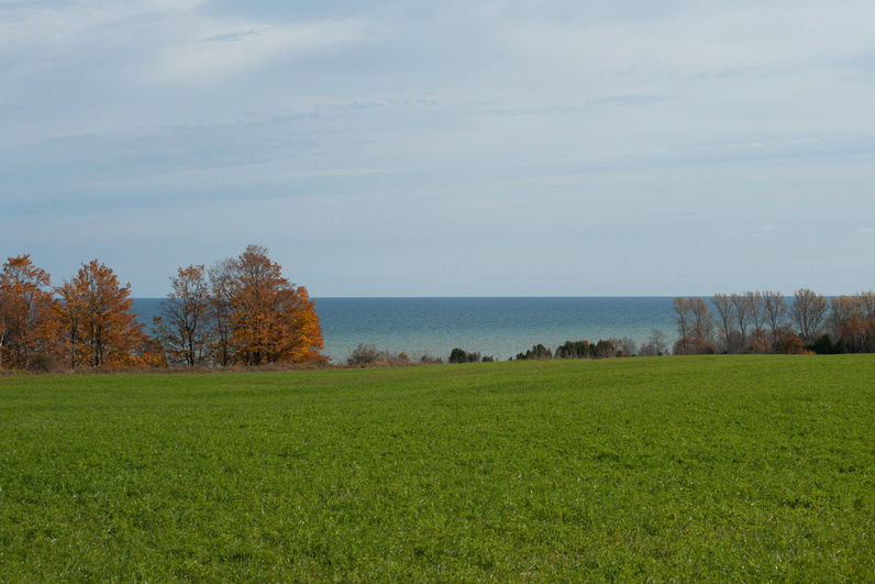 An open green meadow rolls toward a distant tree line and the gray-blue horizon of Lake Michigan under a soft overcast sky.