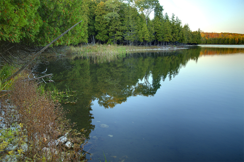 Spring-fed Little Lake lies glassy and still at dusk, reflecting a dark treeline and grassy reeds with a soft band of sunset glow beyond.