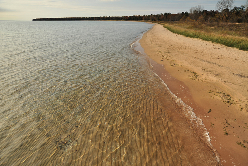 Gentle waves lap a curving sandy beach where clear shallow water meets the shore, autumn tree line receding into the distance under a muted sky.