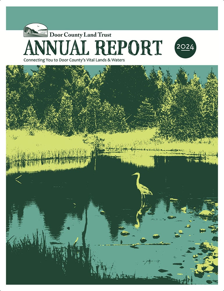 2024 Annual Report cover