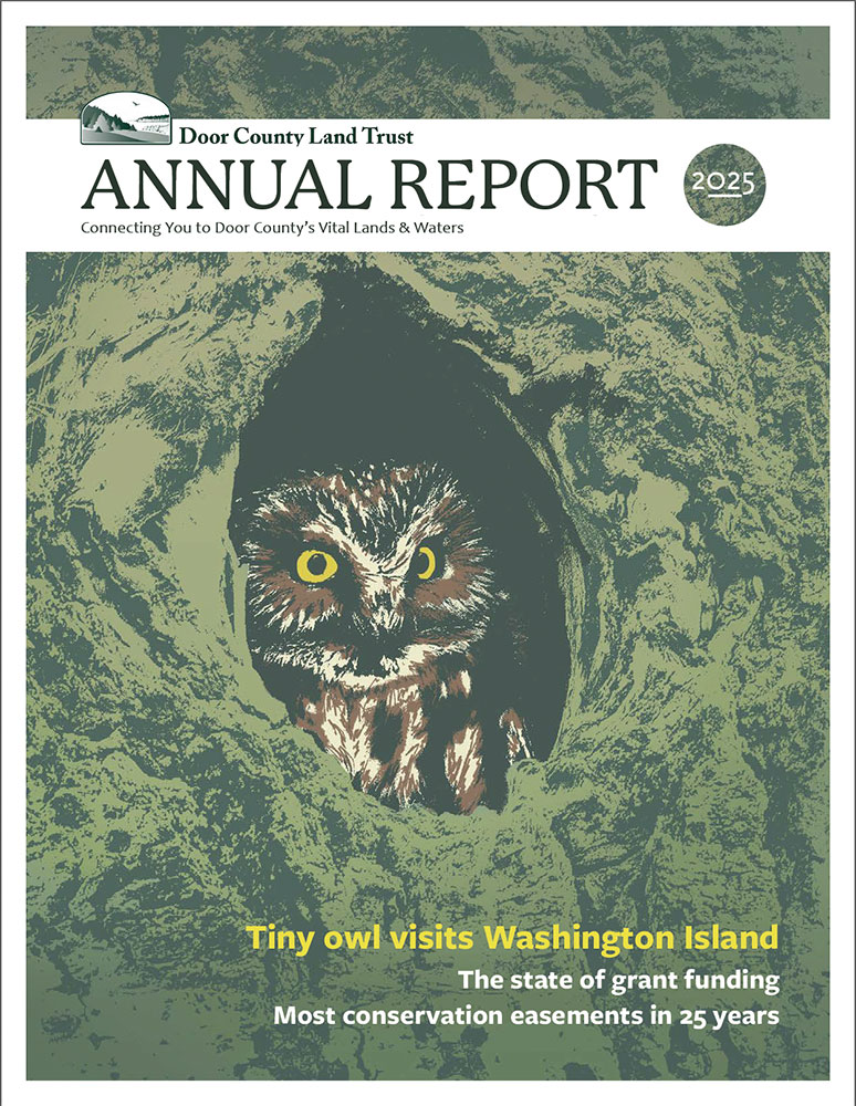 2025 Annual Report cover