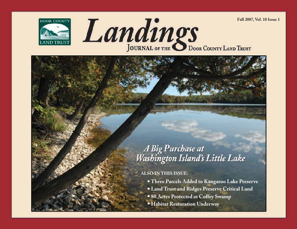 2007 Landings – Fall cover