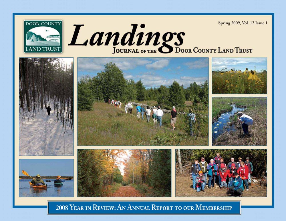 2009 Landings – Spring cover