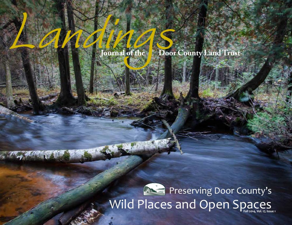 2014 Landings – Fall cover