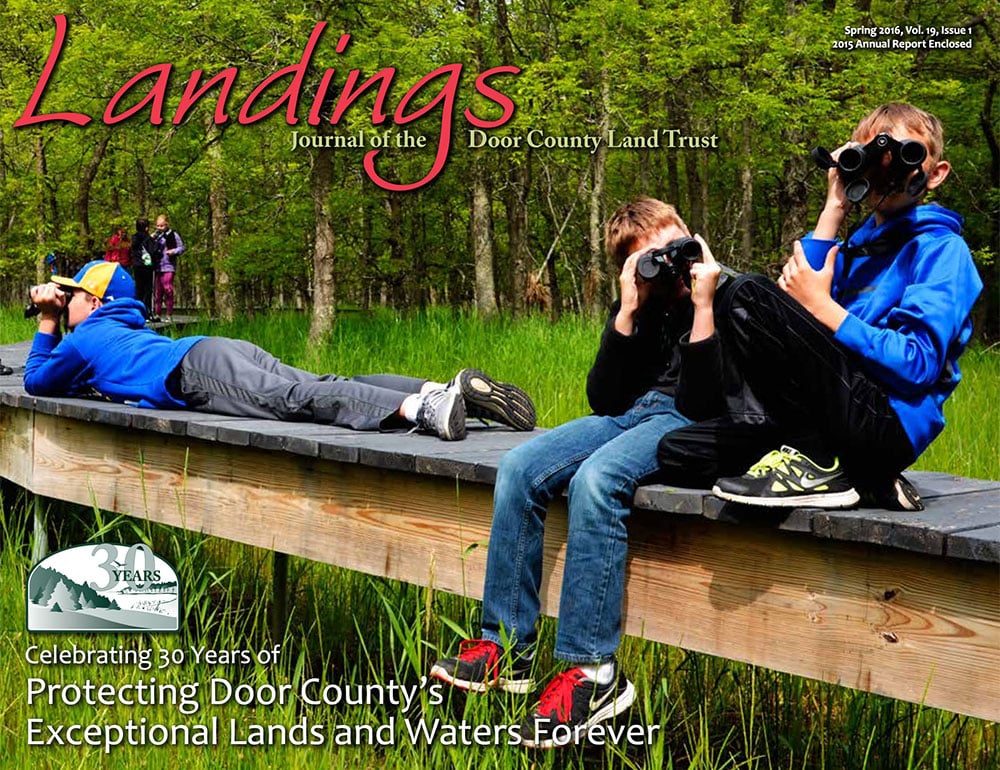 2015 Landings – Annual Report cover