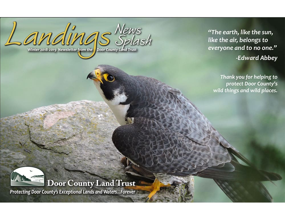 2018 Landings – Winter cover
