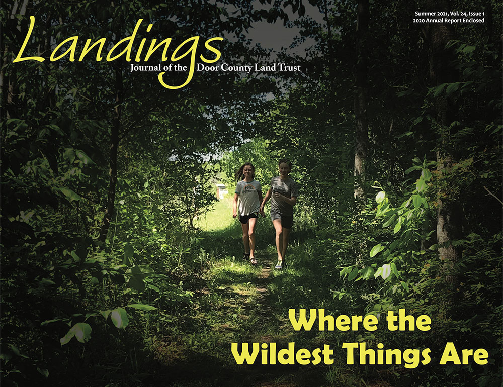 2021 Landings – Summer cover