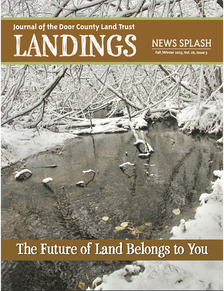 2023 Landings – Fall cover