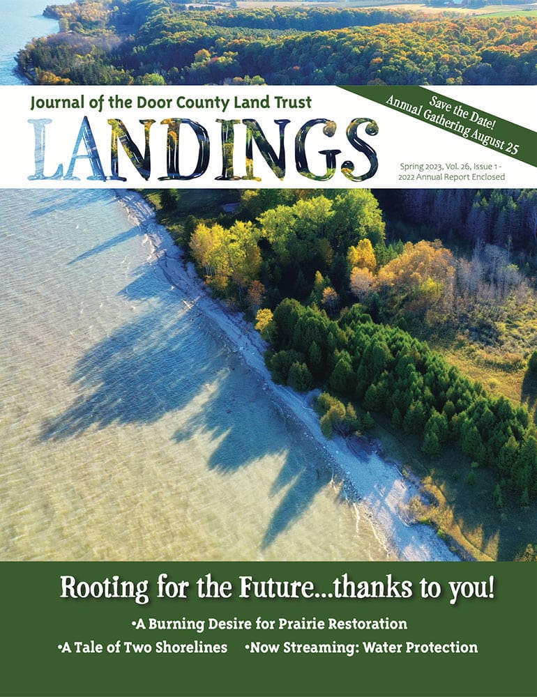 2023 Landings – Spring cover