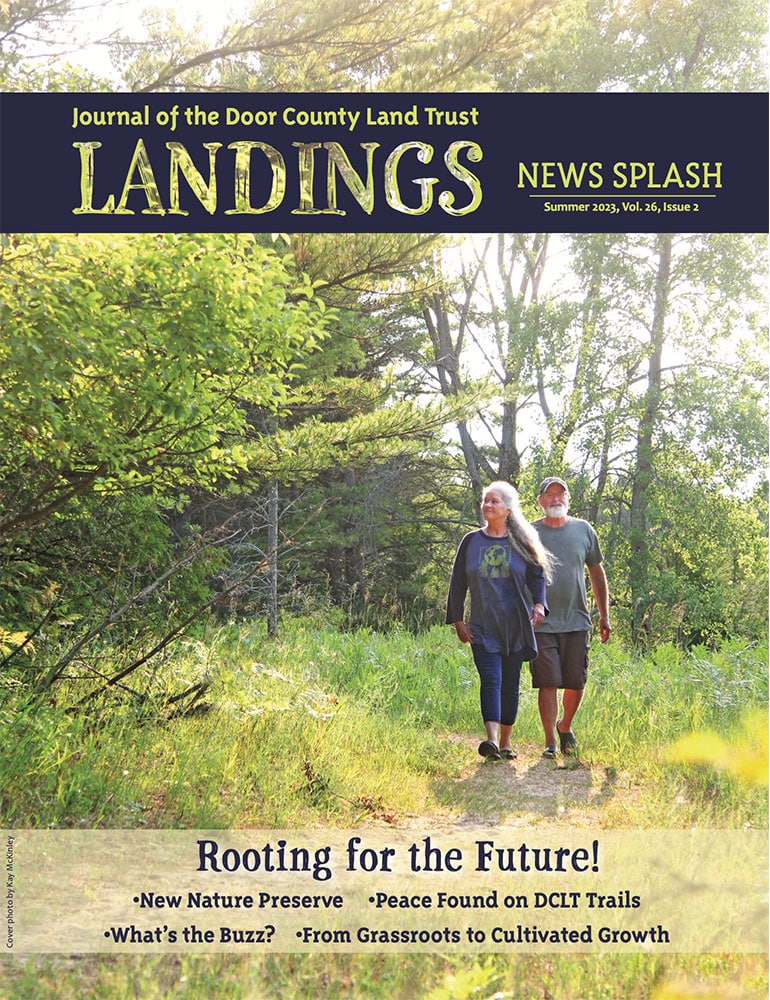 2023 Landings – Summer cover