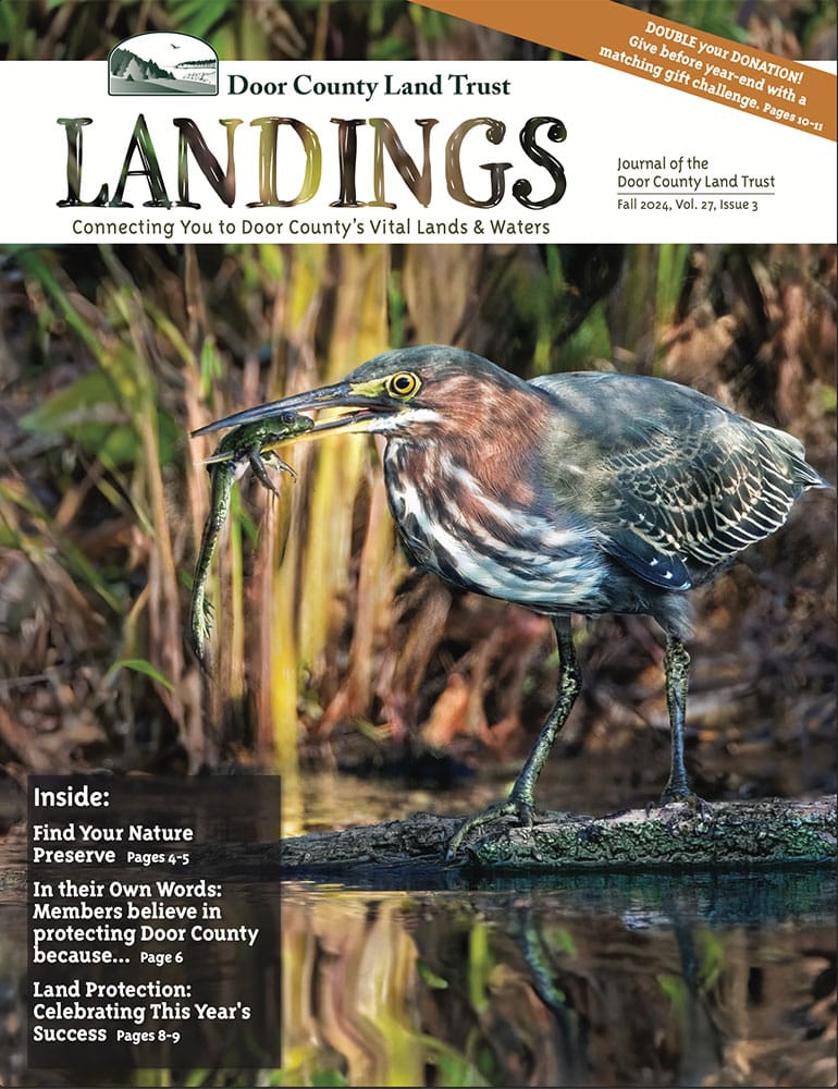 2024 Landings – Fall cover