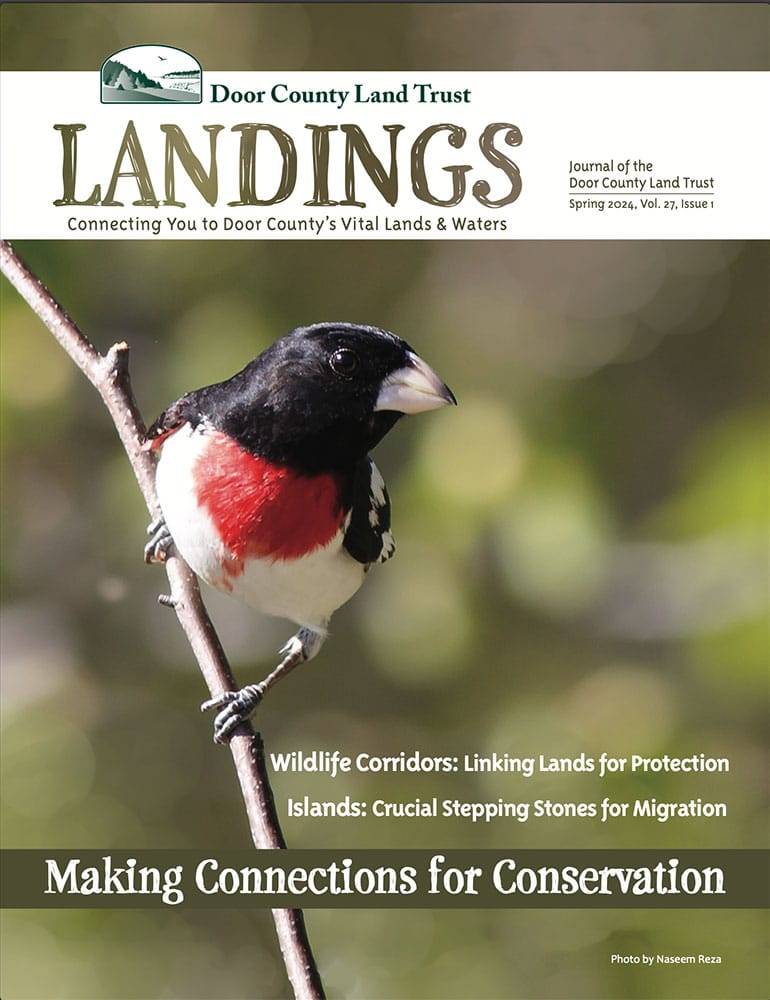 2024 Landings – Spring cover