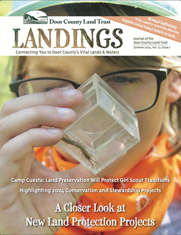 2024 Landings – Summer cover