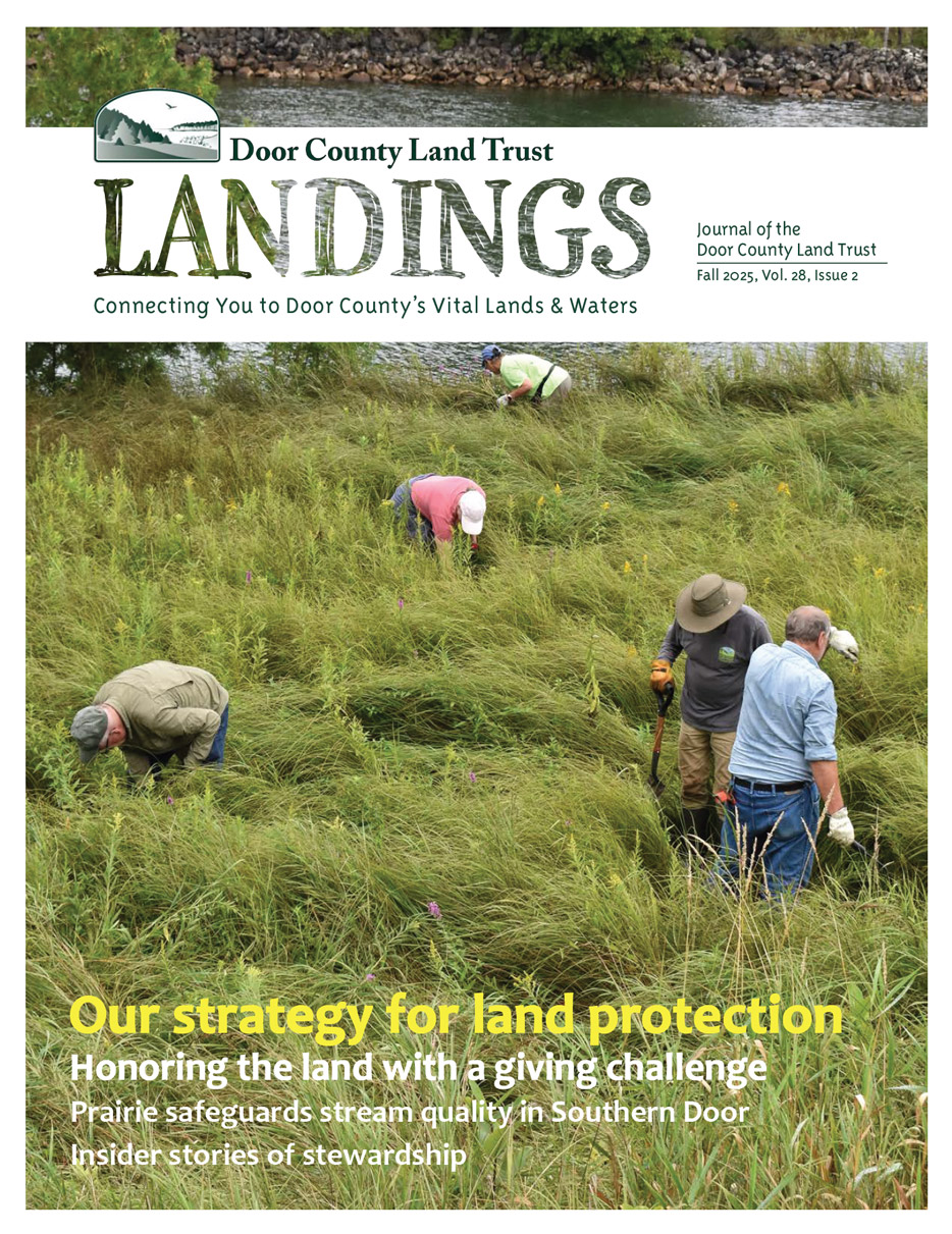 2025 Landings – Fall cover