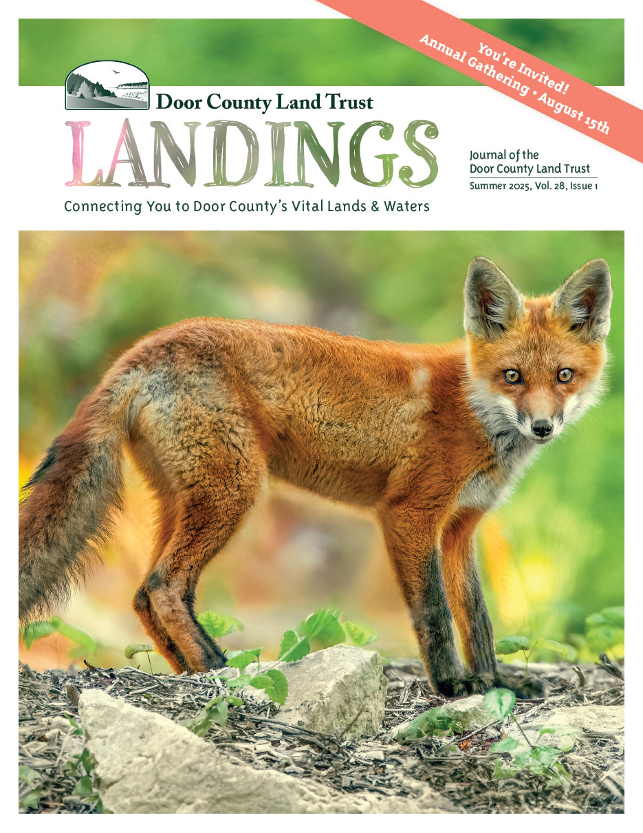 2025 Landings – Summer cover