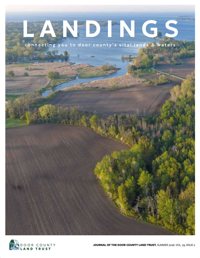 2026 Landings – Summer cover